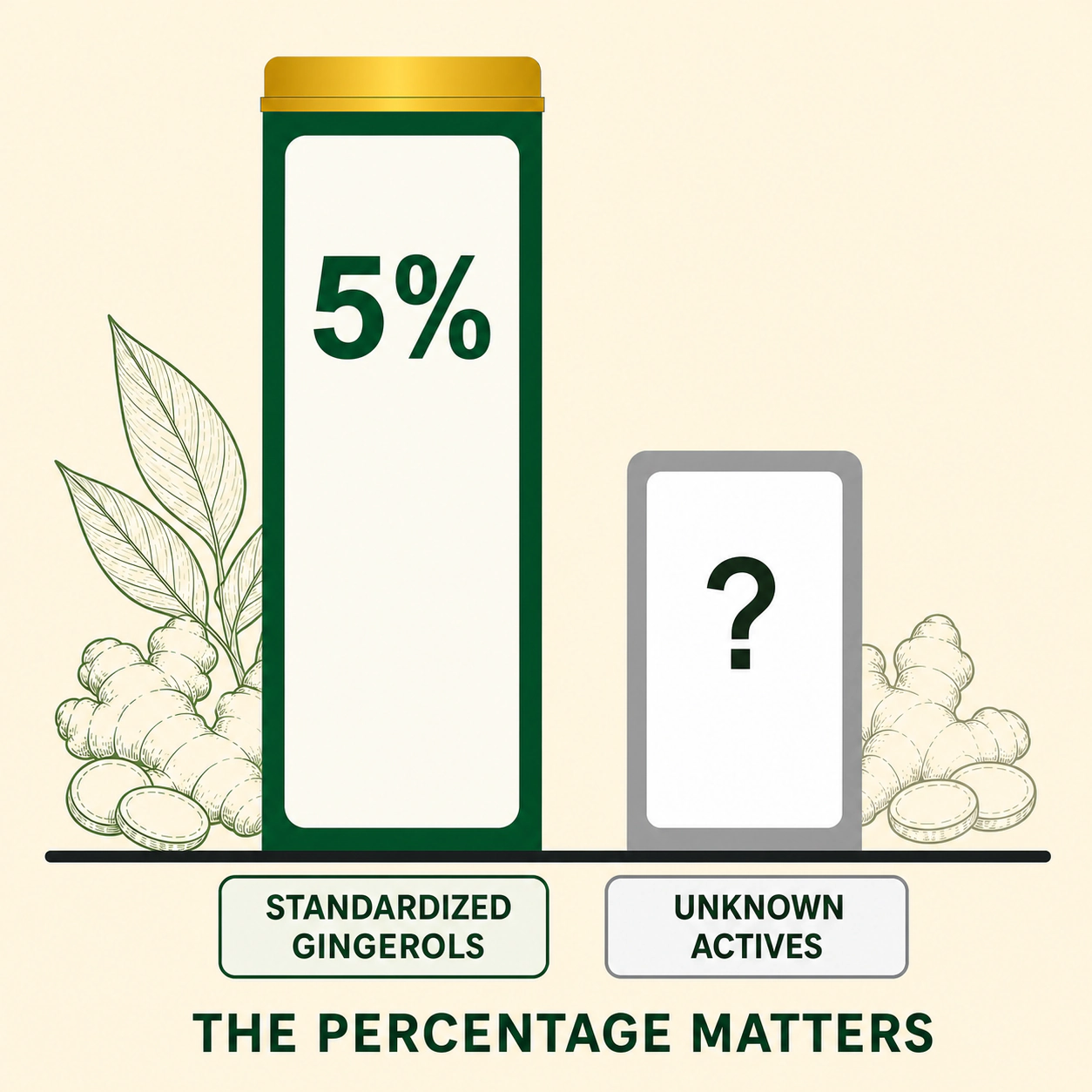 Measured Steadyroot dose compared with common ginger products